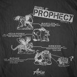 book of daniel revelation t-shirt timeline bible study
